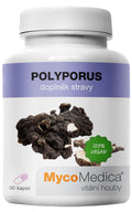 MycoMedica Polyporus 90 rastlinných kapsúl
